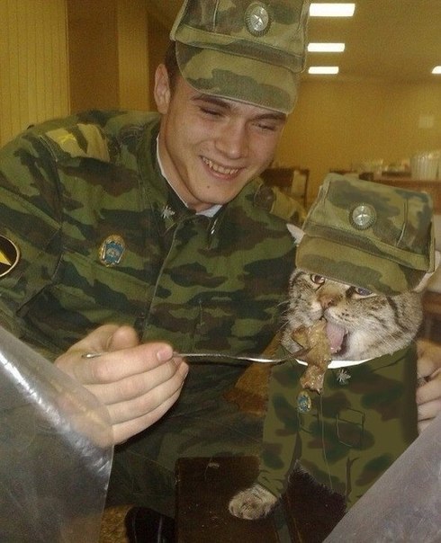 Картинки на пятницу