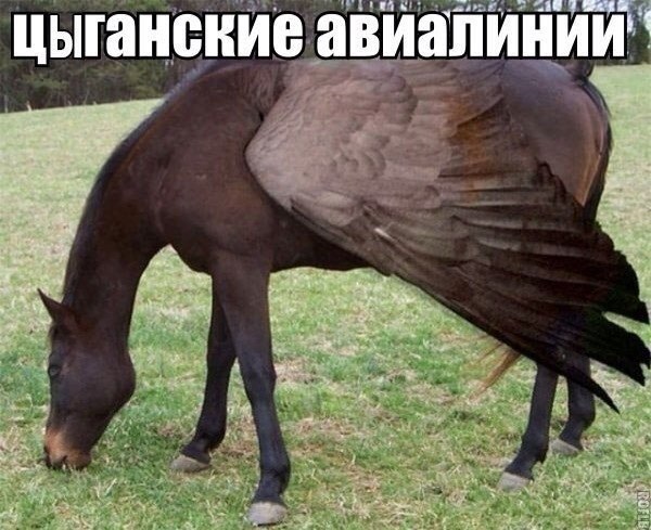 Картинки и демотиваторы