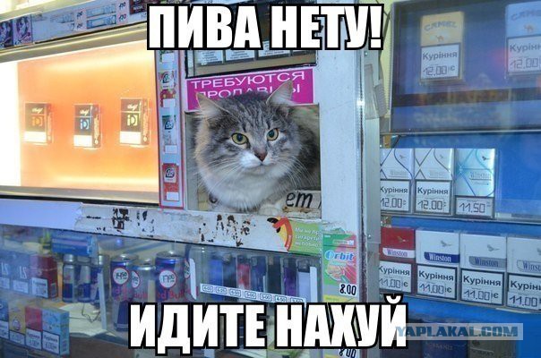 Отовсюду понемногу