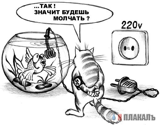 Коты, кошки, котята