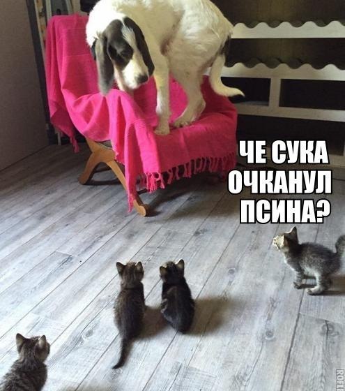 Картинки на пятницу