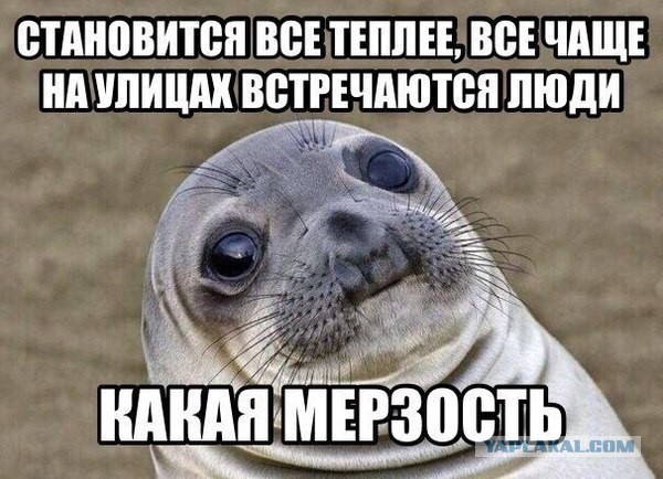 Абсурдный юмор ч.7