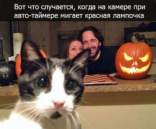 Абсурдный юмор ч.22