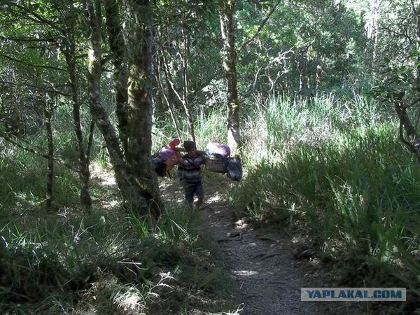 Ломбок — дешевый туристический остров в Индонезии