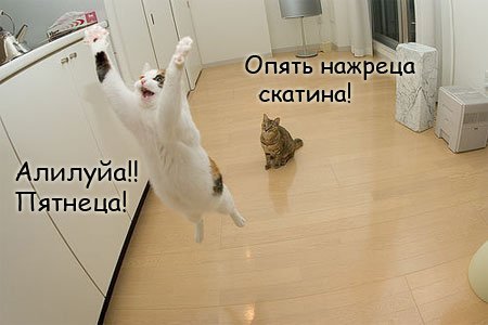 С днем пятницы на ЯПе!