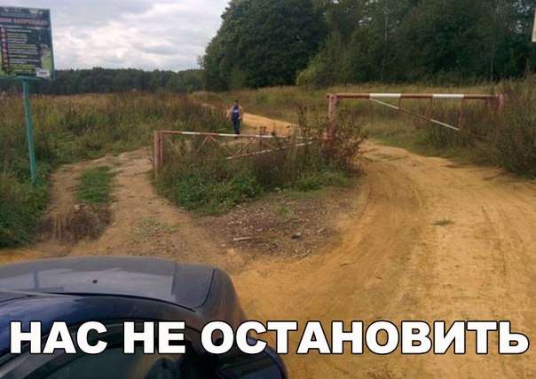 Подборка картинок и демотиваторов