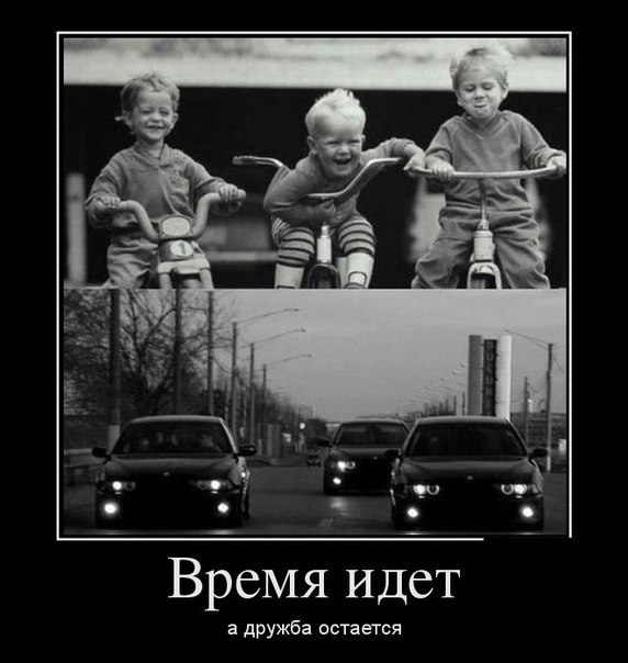 Картинки из сети
