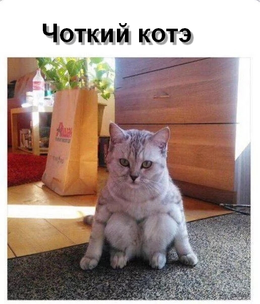 Немного картинок и гифок для пятничного настроения.