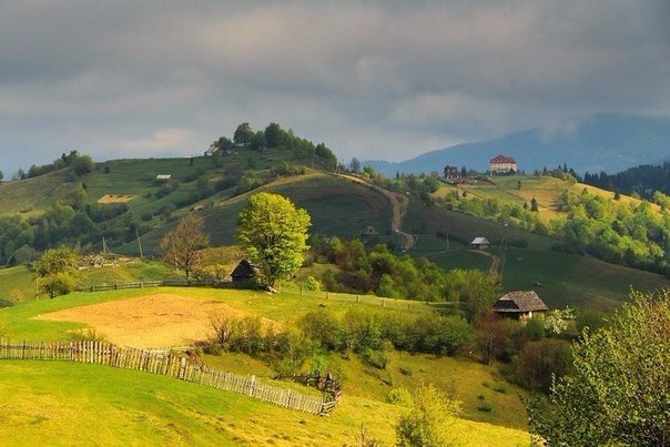 Картинки для отдыха глаз