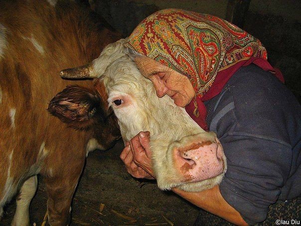 Разные картинки из сети