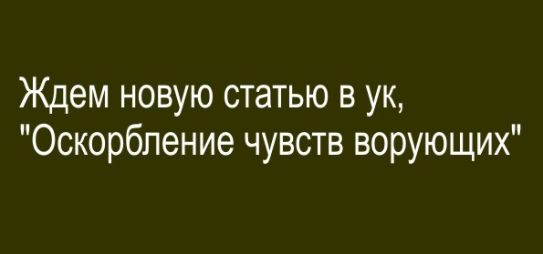 Мизулина назвала «опасной тенденцией» появление антикоррупционных уроков