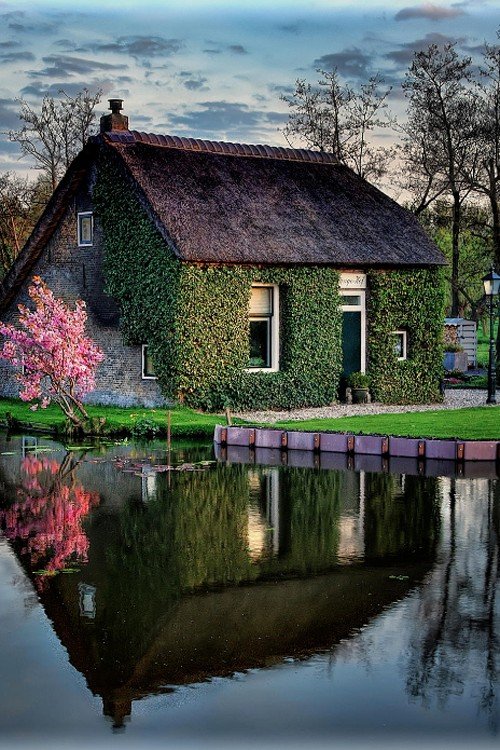 Набористый набор картинок