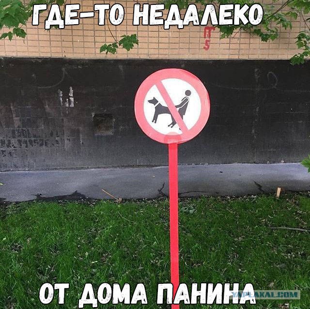 Журнал деградант