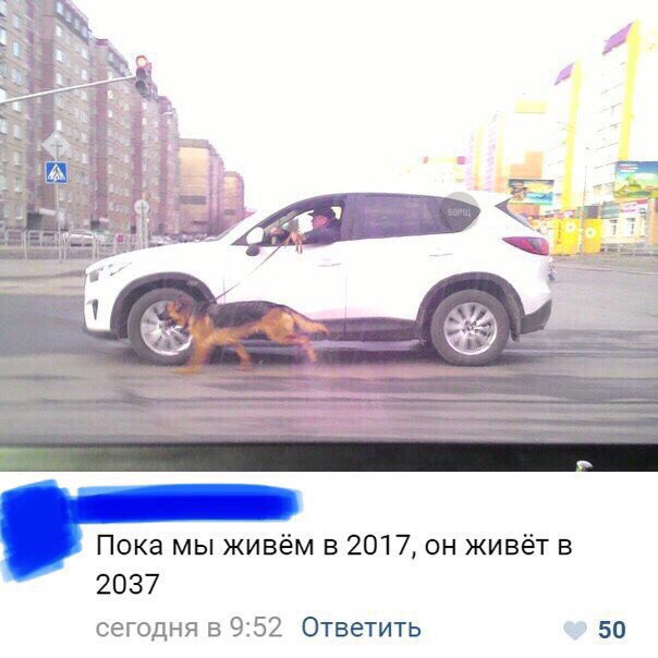 Всякая всячина