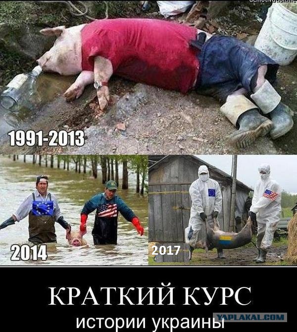 Шо Опять? Прямые трансляции майдана в Киеве