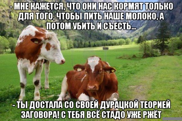 Почему бы не подеградировать, коллеги?