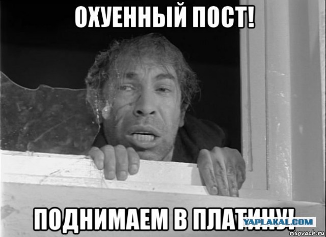 Мне позвонил приятель моей жены