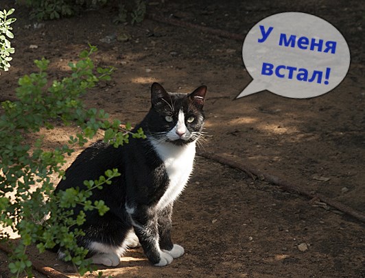 Текккккккссссстттттттт