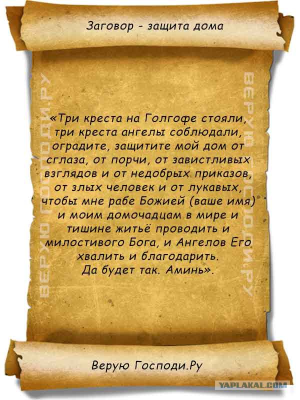 Моя соседка по даче — тварь