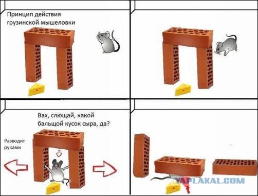 25 картинок в эту чёрную пятницу