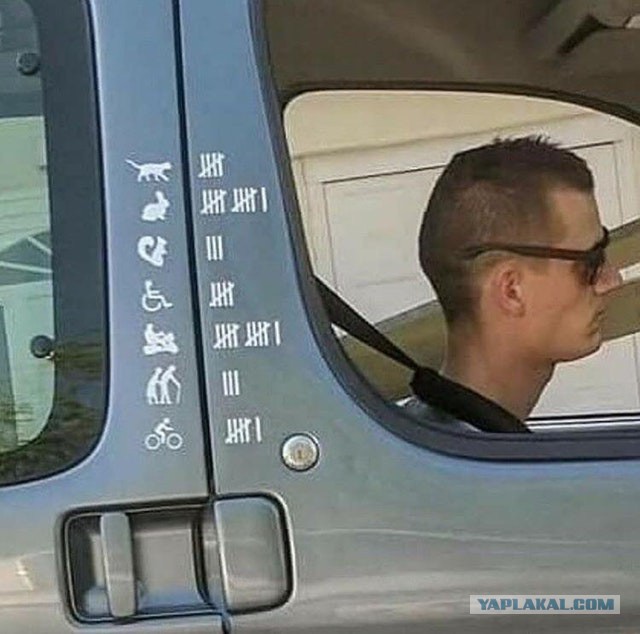 Прикольные картинки абавсём