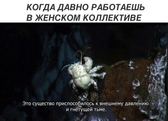 Немного картинок в этот четверг