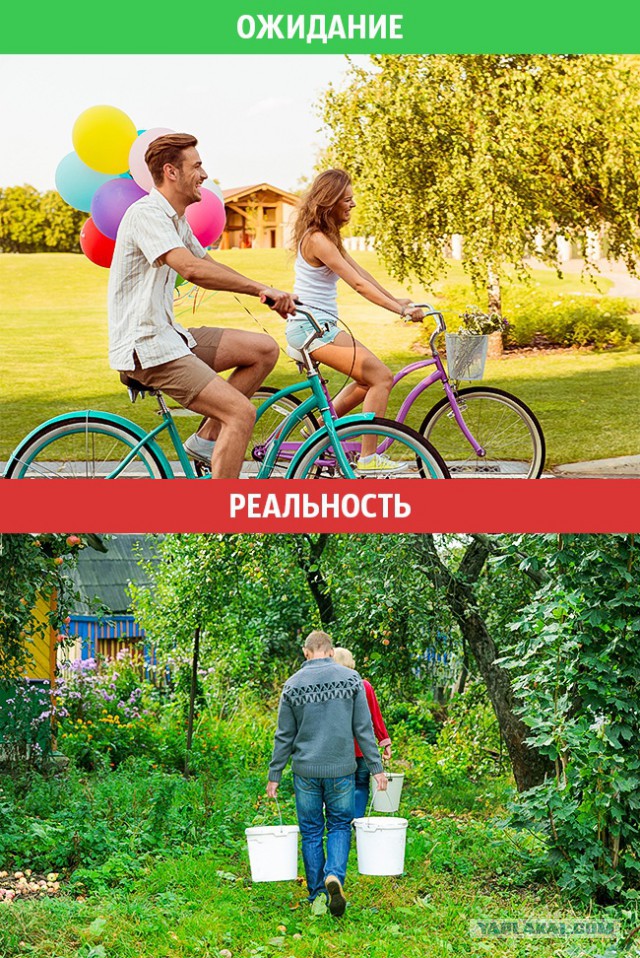 Осень! Время хвастаться дачникам - 2018!