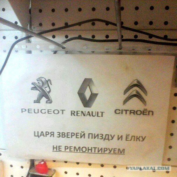 Как я обращался к официалам Пежо