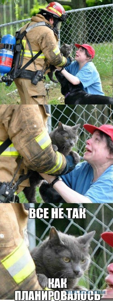 План провалился :)