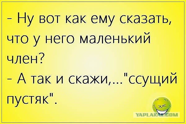 Весёлые картинки