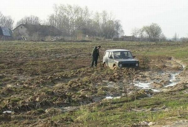 Приезжайте к нам в колхоз.