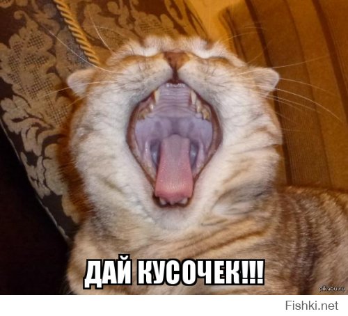 Это вообще законно?