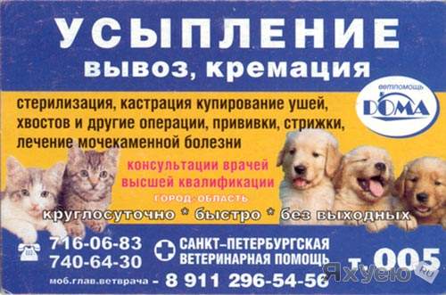 Круглосуточная Ветеринарная Клиника Подольск