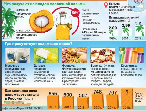Как России слезть с «пальмы»: Почему вместо нормальных молочных продуктов нам предлагают суррогаты на основе пальмового масла