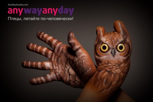 Концепция для AnyWayAnyDay