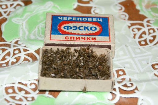 Модные и яркие девяностые