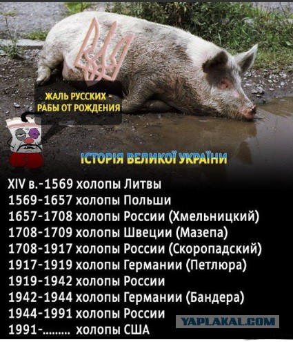 Российская певица обругала Шнурова за его заявление про Крым