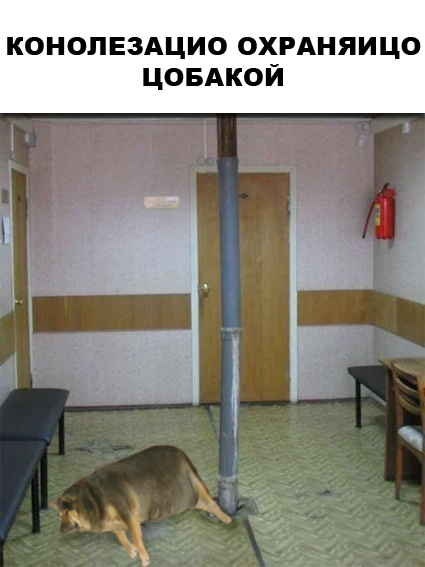 Фотожаба: О чем же думает собака?....