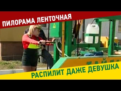 А вы в курсе, над чем усиленно работает наше чудесное правительство?