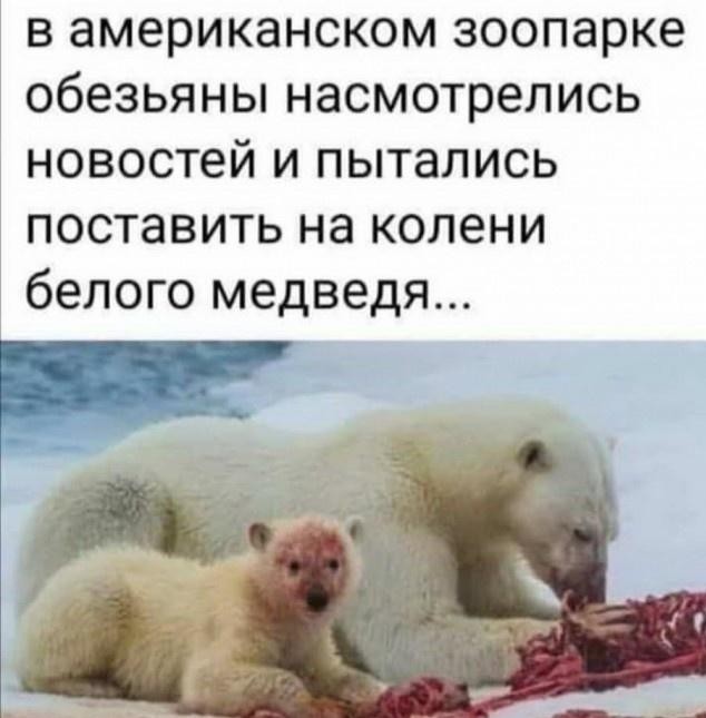 Необычное задержание