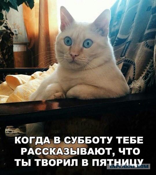 Она просто богиня парковки!