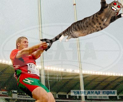 Доброе утро
