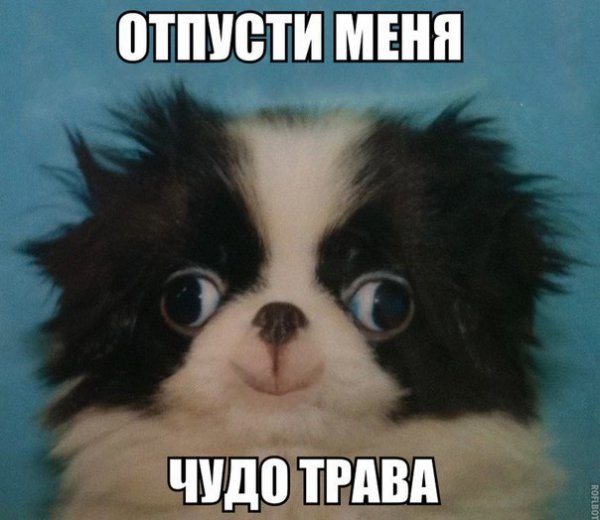 Прикольные и просто красивые картинки 06.11.2020
