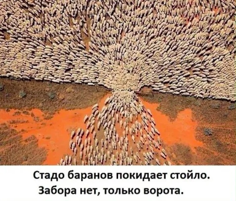 Прилетели уж наверное