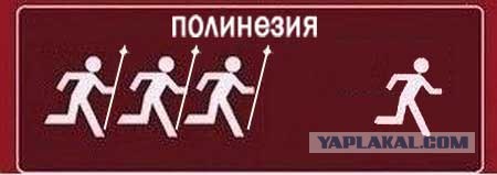Кто и где за кем гоняется?