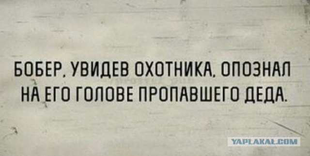 Картинки, исключительно из букв 17.12.2020.