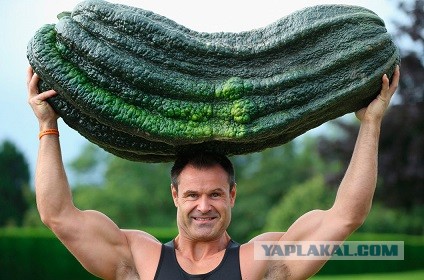 В российских супермаркетах вслед за «эконом-картофелем» могут появиться дешёвые кривые огурцы