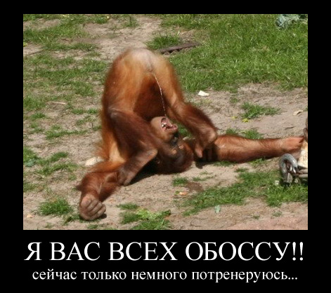 Хамство в Самаре. Автопробег сайта "смотра.ру"