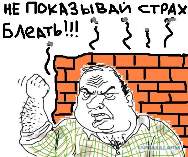 Главное - не показывать страх