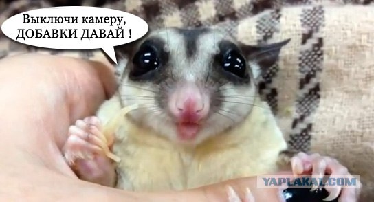 Точим вкусняшку